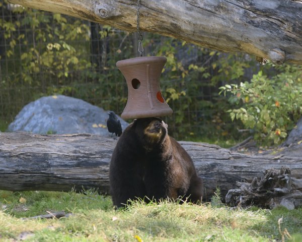 11.jpg photograph #2