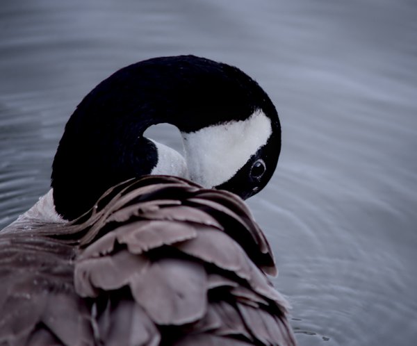 13.jpg photograph #4