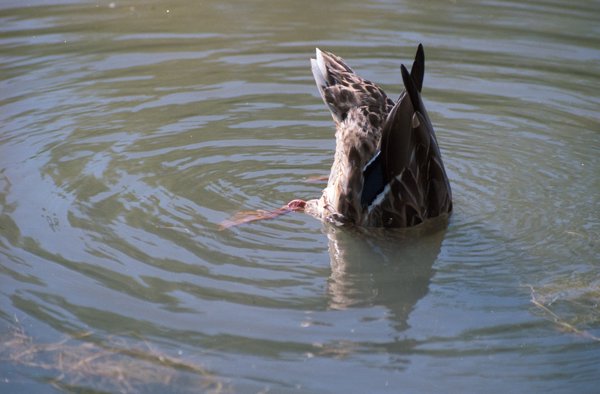 14.jpg photograph #5