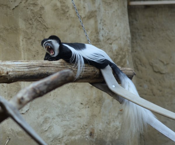 15.jpg photograph #6