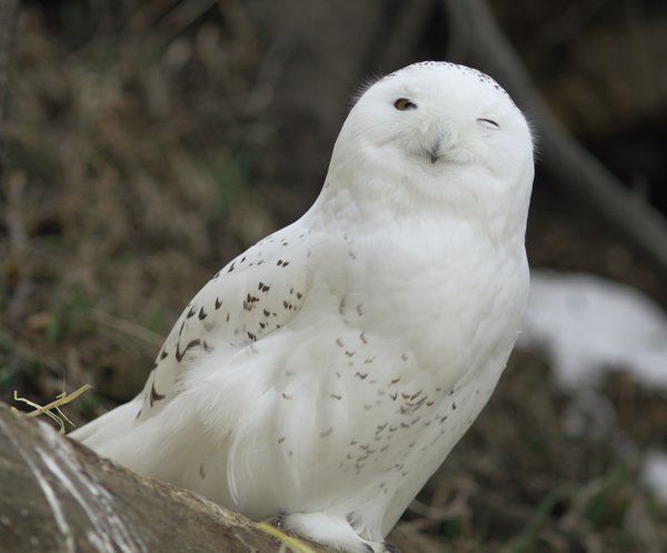 6.jpg photograph #10